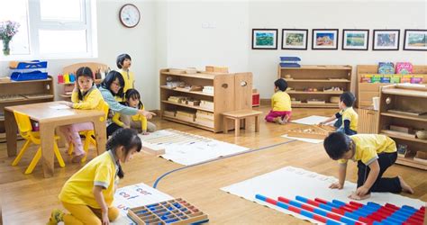 Montessori okulu nedir